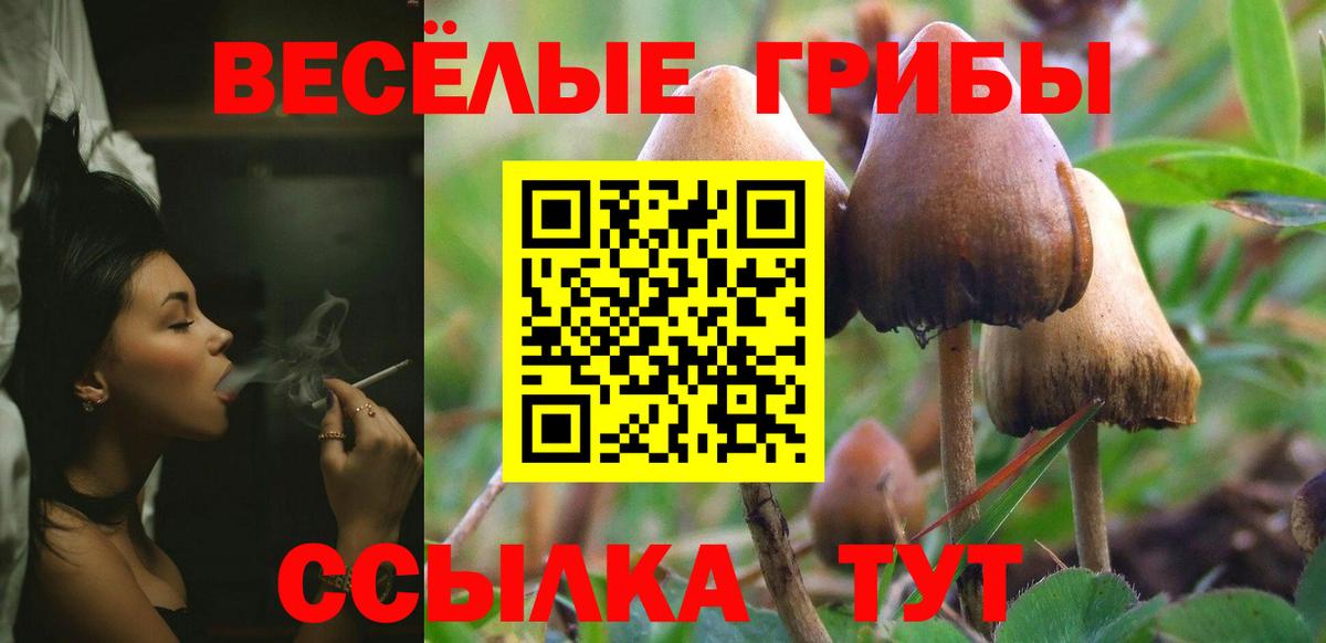 Кубинка  наркота  Вход с VPN  Псилоцибиновые грибы GOLDEN TEACHER 